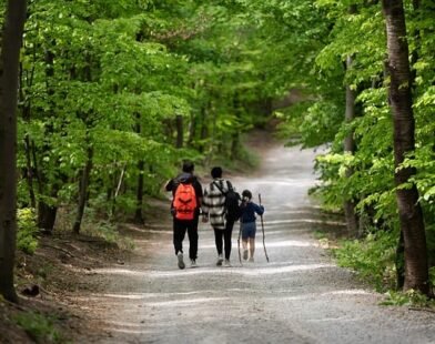 FATHER AND MOTHER ENJOYING HIKING WITH THEIR CHILD