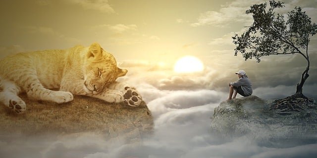 A person sitting on river side having peace of mind